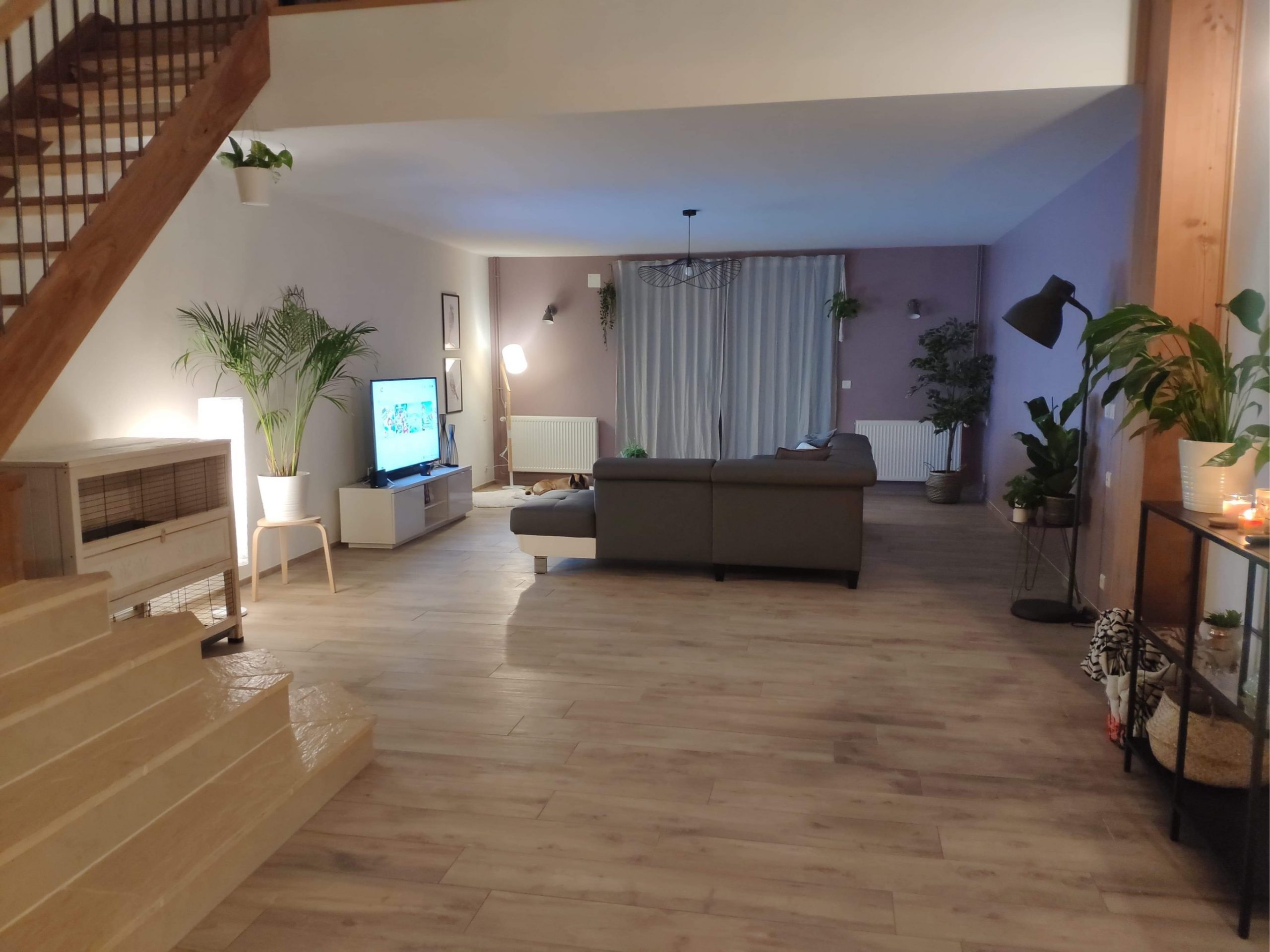 Installation de parquets collés et flottants